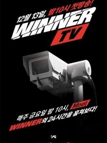 Winner TV